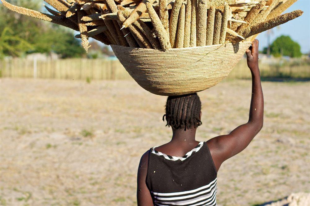 Ongula Village Homestead Lodge Ondangwa Zewnętrze zdjęcie