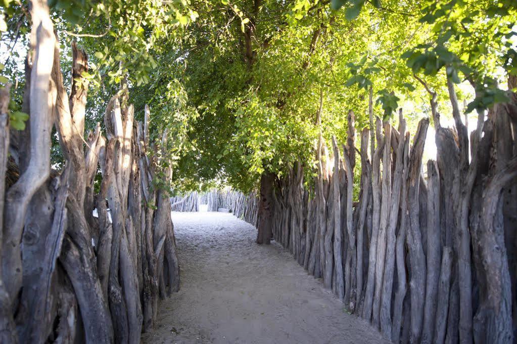 Ongula Village Homestead Lodge Ondangwa Zewnętrze zdjęcie
