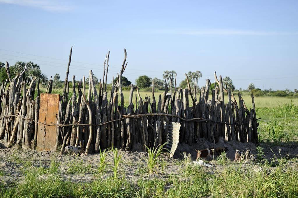 Ongula Village Homestead Lodge Ondangwa Zewnętrze zdjęcie